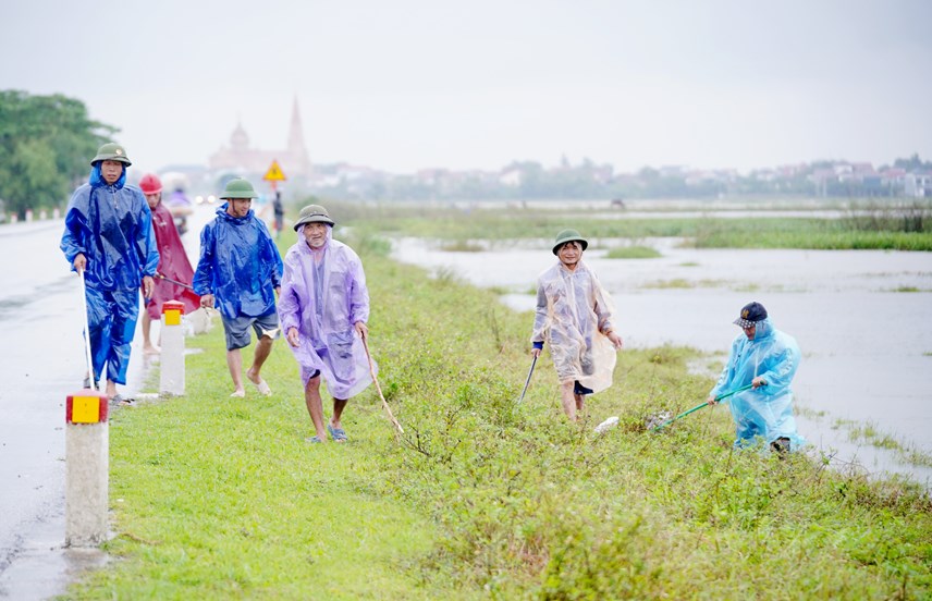 Hà Tĩnh: Nước lũ ngập đồng, người dân kéo nhau đi đập chuột